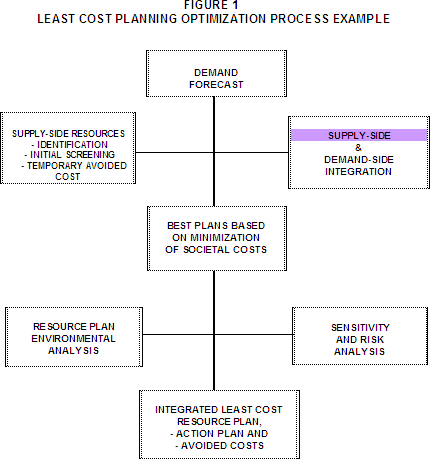 Figure 1: Least Cost Planning Optimization Process Example